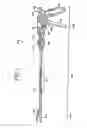 Fig. 02 - Medical instrument