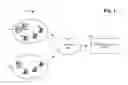 Fig. 02 - Managed service for detection of anomalous transactions
