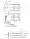 Fig. 04 - Querying data and an associated ontology in a database management system