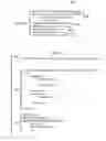 Fig. 06 - Querying data and an associated ontology in a database management system