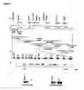 Fig. 02 - Nod-factor perception