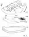 Fig. 06 - INTERCHANGEABLE MIDSOLE  SYSTEM FOR FOOTWEAR