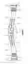 Fig. 02 - SADDLE GIRTH