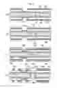 Fig. 06 - Multilayered printed circuit board and manufacturing method thereof