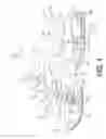 Fig. 02 - Snowmobile front suspension