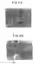 Fig. 03 - Programmable illumination pattern for transporting microparticles