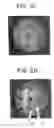 Fig. 04 - Programmable illumination pattern for transporting microparticles
