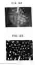 Fig. 07 - Programmable illumination pattern for transporting microparticles