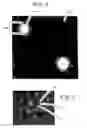 Fig. 08 - Programmable illumination pattern for transporting microparticles