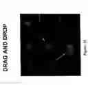 Fig. 20 - Programmable illumination pattern for transporting microparticles