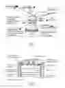 Fig. 02 - Fuel injection system and fuel injector with improved spray generation