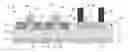 Fig. 01 - Fully siliciding regions to improve performance