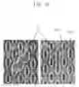 Fig. 03 - Semiconductor device with leaning storage node contact and method for fabricating the same