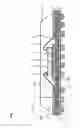 Fig. 02 - Package, electronic device, substrate having a separation region and a wiring layers, and method for manufacturing