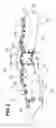 Fig. 03 - Vehicle body frame