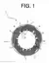 Fig. 02 - Stator having an interphase insulator