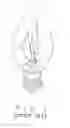 Fig. 02 - Oscillated lighting bulb
