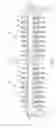 Fig. 02 - Fuse mounting member