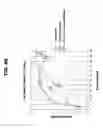Fig. 07 - Radome for endfire antenna arrays