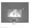 Fig. 18 - Mosaicing of view projections