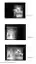 Fig. 19 - Mosaicing of view projections