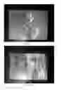 Fig. 20 - Mosaicing of view projections