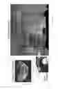 Fig. 27 - Mosaicing of view projections