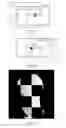 Fig. 30 - Mosaicing of view projections