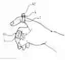 Fig. 01 - Wireless cursor control device with image-tracking