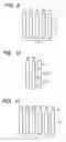 Fig. 06 - Liquid composition, ink-jet recording process, ink-jet recording ink set, recording unit, ink cartridge, ink-jet recording apparatus, and ink-jet recording ink