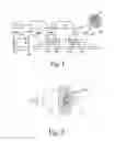Fig. 02 - Contamination barrier and lithographic apparatus