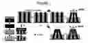 Fig. 02 - Platform for chemical and biological sensing by surface-enhanced Raman spectroscopy