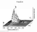 Fig. 07 - Platform for chemical and biological sensing by surface-enhanced Raman spectroscopy