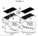 Fig. 12 - Platform for chemical and biological sensing by surface-enhanced Raman spectroscopy