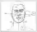 Fig. 01 - Reshaping an image to thin or fatten a face