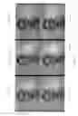 Fig. 07 - Reshaping an image to thin or fatten a face