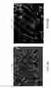 Fig. 06 - Systems and methods of all-optical Fourier phase contrast imaging using dye doped liquid crystals