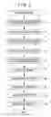 Fig. 04 - Optical article and manufacturing method thereof