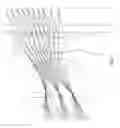 Fig. 03 - Laminated lens