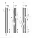 Fig. 02 - Organic substrates with embedded thin-film capacitors, methods of making same, and systems containing same