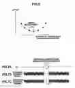 Fig. 06 - Disc Device and Control Method for the Same