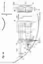 Fig. 43 - Optical pickup, optical disc apparatus, integrated coupling lens, integrated prism, and optical information equipment