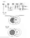 Fig. 02 - Method, Intermediate Station and Central Control Unit For the Packet-Switched Data Transmission in a Self-Organizing Radio Network