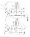 Fig. 08 - ADDRESSABLE OUTLET, AND A NETWORK USING THE SAME