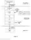 Fig. 06 - Network buffer caching