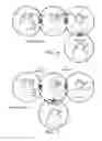 Fig. 03 - Wireless audio sharing