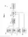 Fig. 07 - Method for determining a set of boundary points in a lattice