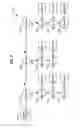 Fig. 08 - Method for determining a set of boundary points in a lattice
