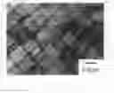Fig. 01 - NiAl-based intermetallic compound with dual multi-phase microstructure, production method thereof, and heat resistant structural material