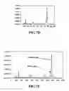 Fig. 09 - Method for preparing single walled carbon nanotubes